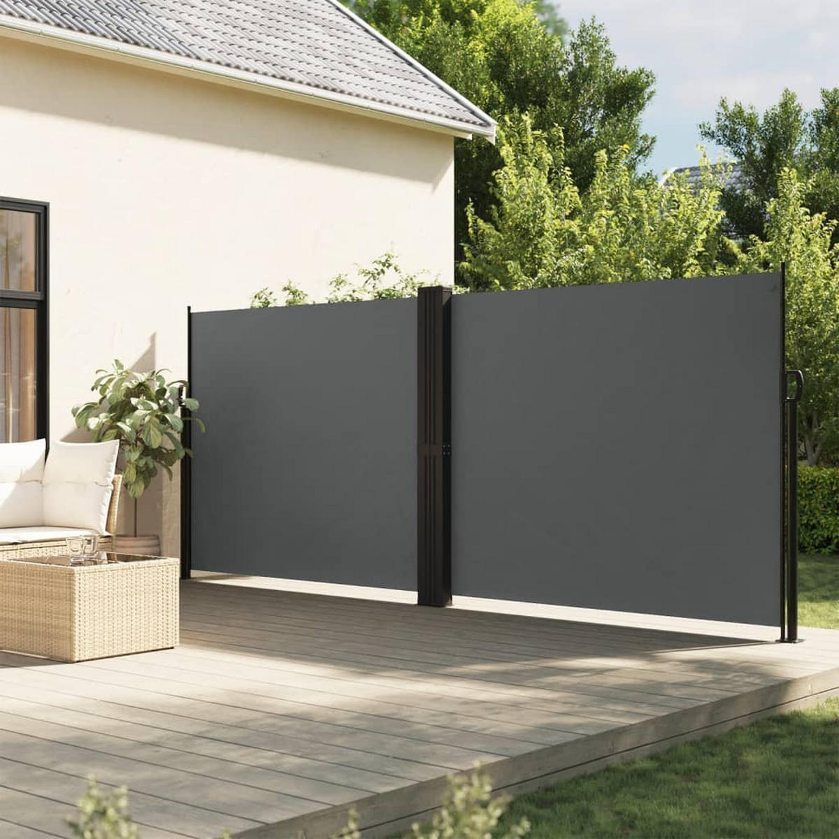SEITENMARKISE Ausziehbar Anthrazit 160x600 cm - Anthrazit, Textil (600/160/600cm) - furnicato