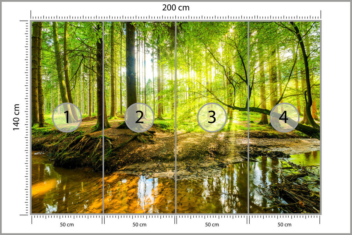 FOTOTAPETE für Wohnzimmer Waldlandschaft Bäume Blätter Frühling Grün 200x140 - Gelb/Orange, Papier (200/140cm) - Muralo