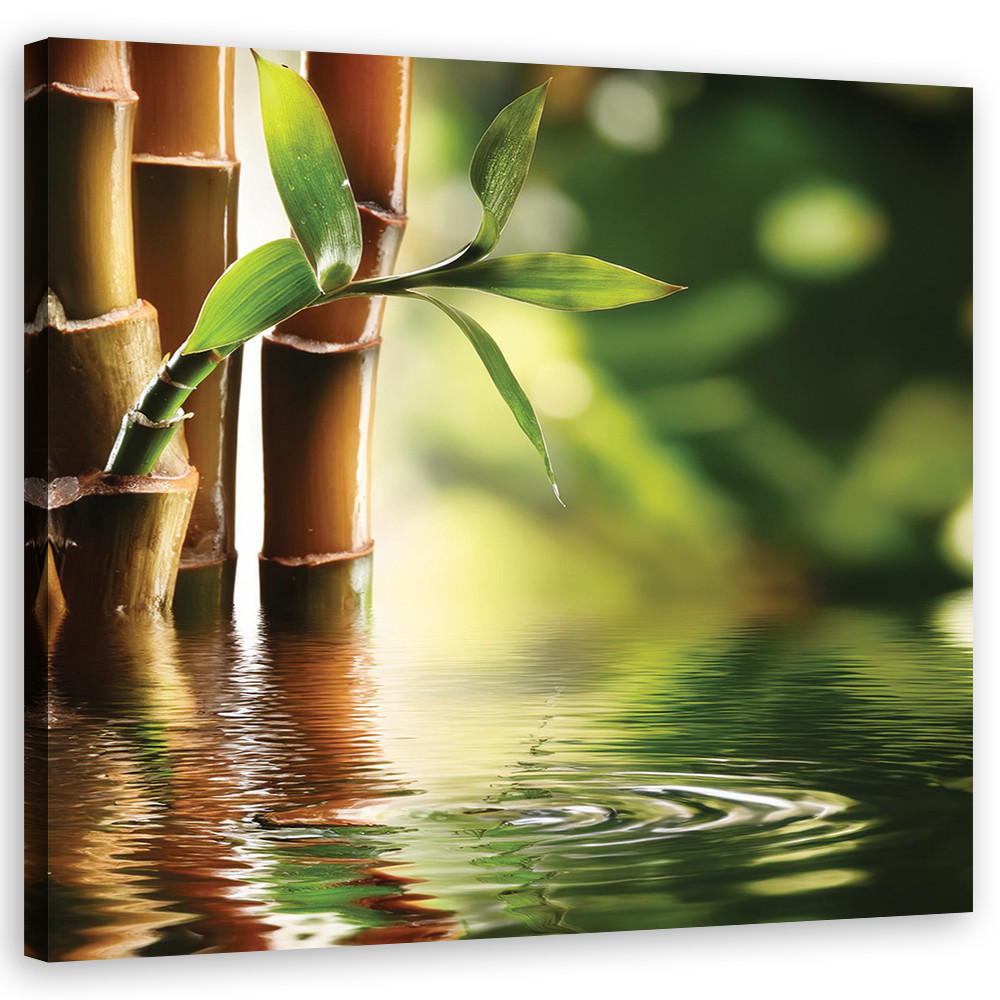 WANDBILD zen bambus - Grün, Textil (50/50cm) - Feeby