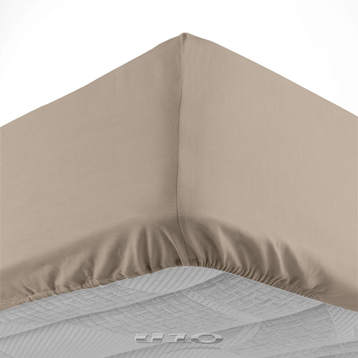 Douceur d´intérieur Spannbettlaken Beige 200x160 cm