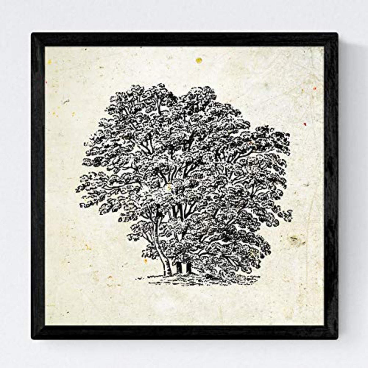 POSTER Set mit 4 Bädern Bäume variierten Jahrgang Hintergrund 30x30 cm Rahmenlos - Klar, Papier (30/3cm) - Nacnic