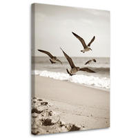LEINWANDBILD Möwen Vögel Meer Strand Natur 80x120cm - Beige, Textil (80/120cm) - Feeby
