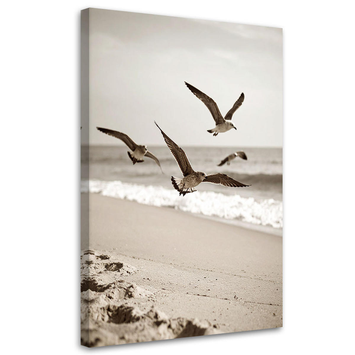 LEINWANDBILD Möwen Vögel Meer Strand Natur 80x120cm - Beige, Textil (80/120cm) - Feeby