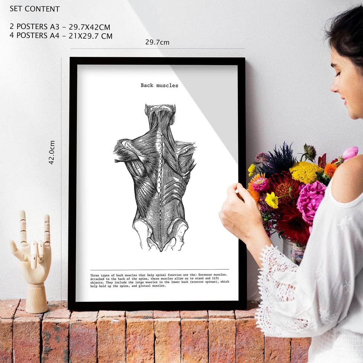 POSTER Set Mit 6 Anatomie Sammlung Von Platten Größe A3 und A4 Rahmenlos - Klar, Papier (29.7/1/42cm) - Nacnic