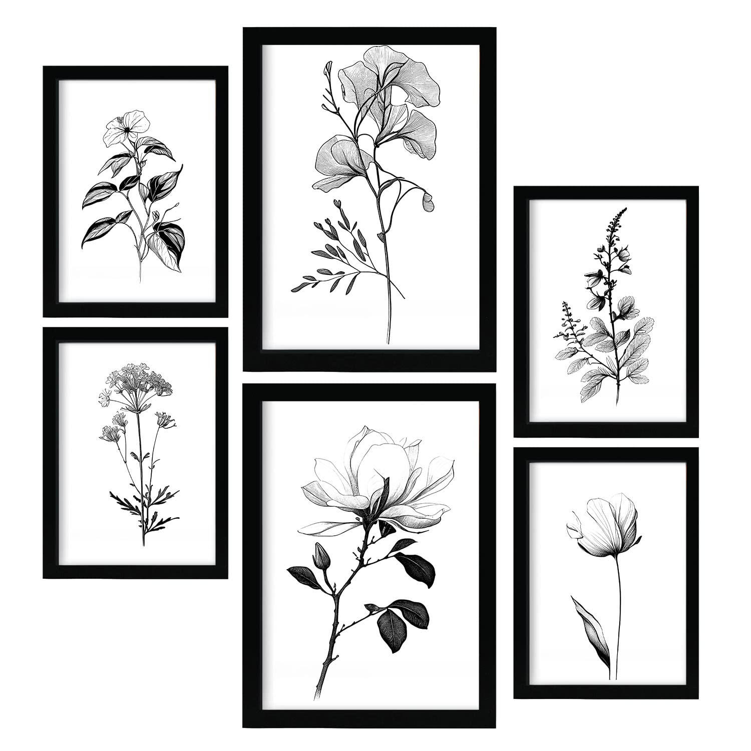 POSTER Set Mit 6 Üppige Blumen Blumenmotiven In Klassischem Schwarz Und Weiß A3 & A4 Rahmenlos - Klar, Papier (29/3cm) - Nacnic