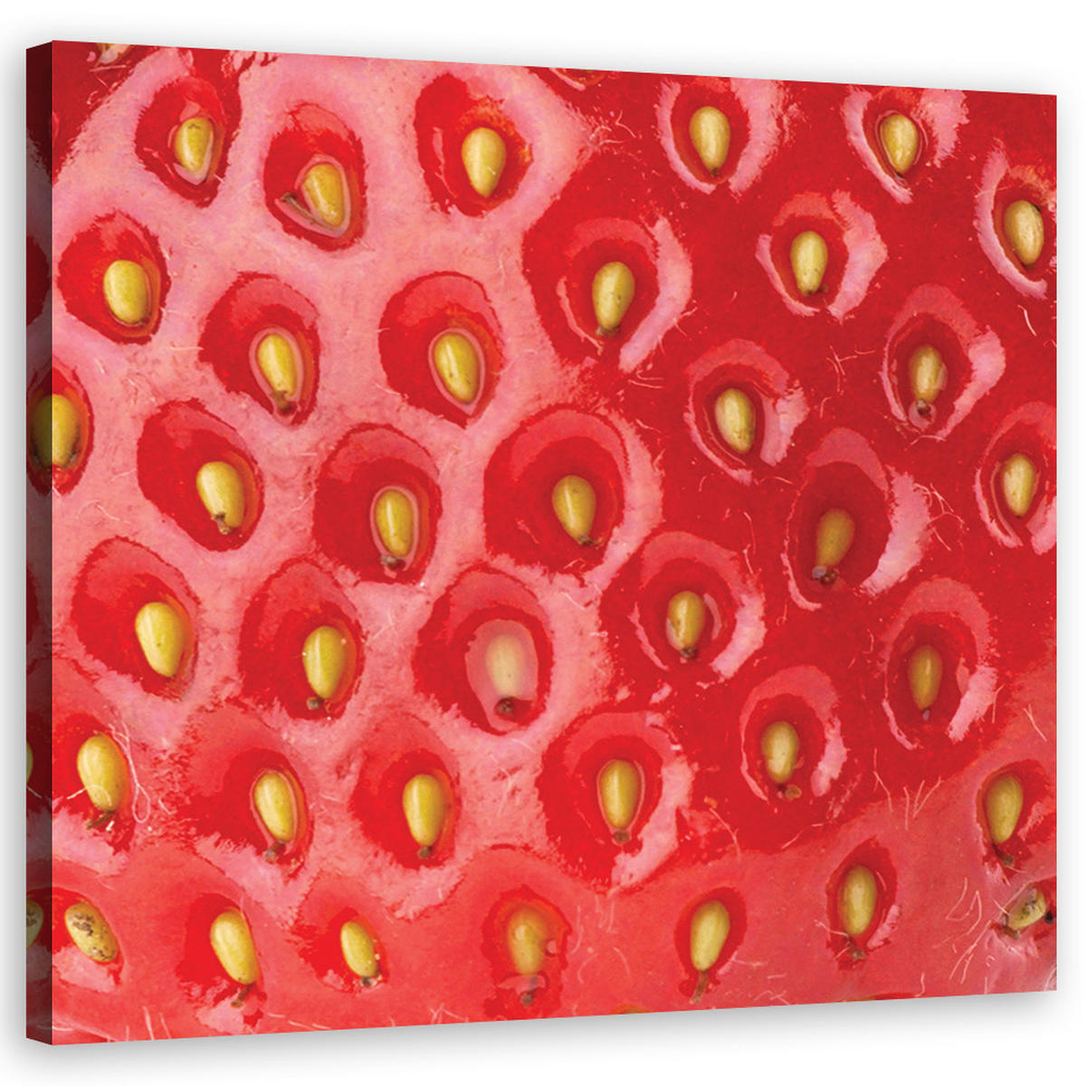 WANDBILD erdbeere obst - Rot, Textil (50/50cm) - Feeby