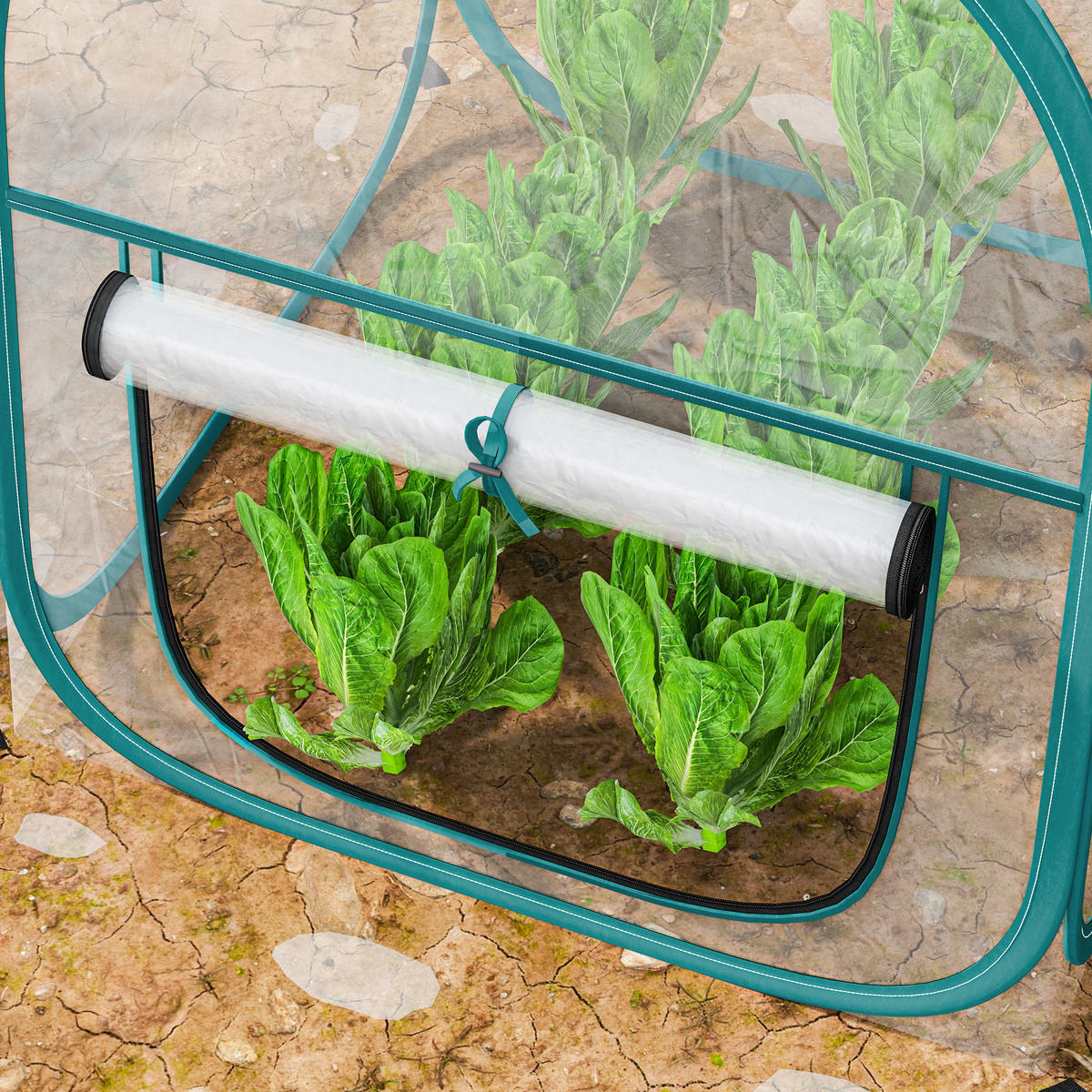 GEWÄCHSHAUS DE-12023 mit Rollfenster & Tragetasche Transparent - Transparent, Kunststoff (70/80/70cm) - ComfortXL