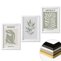 WANDBILDER 3er-Set - 20x30 cm Weißer Rahmen - Matisse Aquarell Boho-Design - Weiß, Kunststoff (20/30cm) - ArtPrintCave