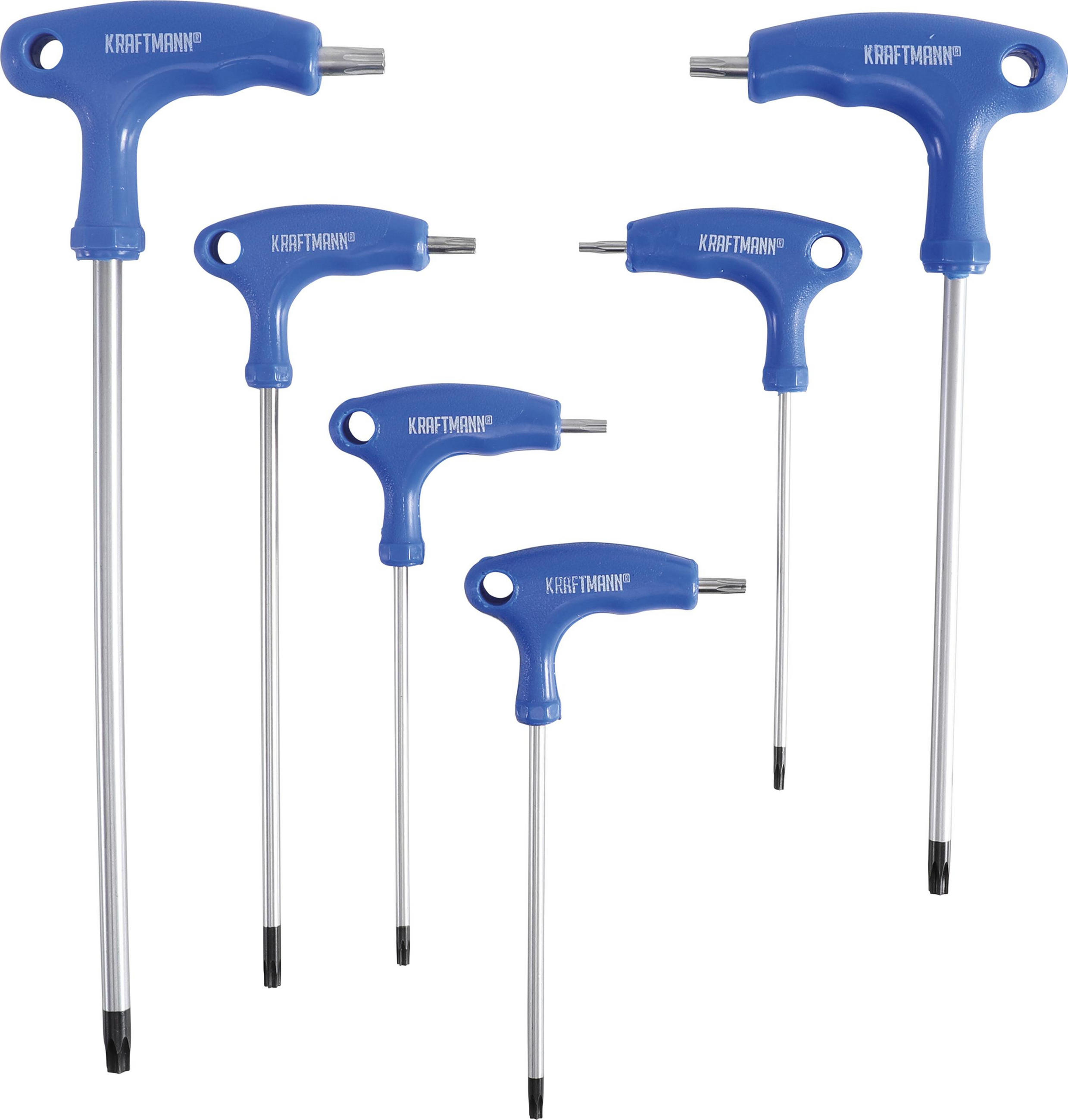 SCHRAUBENDREHER-SATZ MIT T-GRIFF UND SEITLICHER KLINGE | T-PROFIL - Multicolor, Kunststoff/Metall (1/1cm) - BGS technic