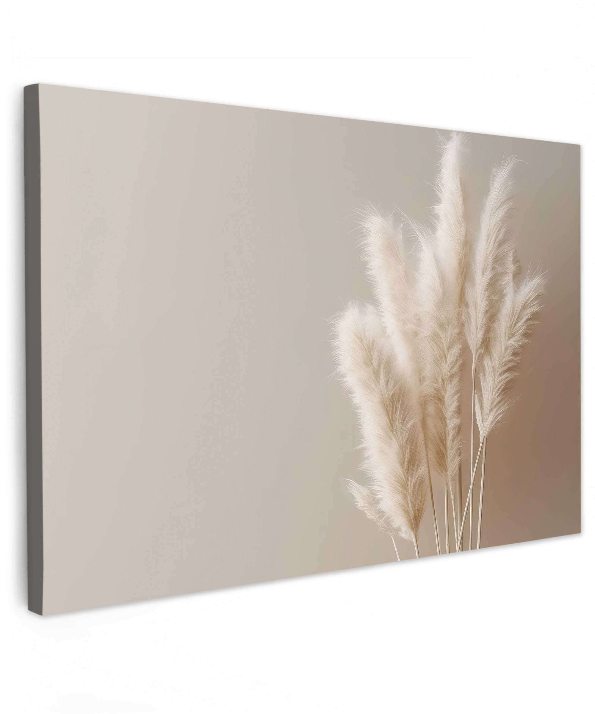 LEINWANDBILD Pampasgras - Federn - Pastell - Weiß Wohnzimmer 120x80 cm - Naturfarben, Textil (120/80cm) - MuchoWow