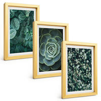 BILDER SET 3er Set - 20x30 cm Goldrahmen - Sukkulenten - Goldfarben, Kunststoff (20/30cm) - TULUP