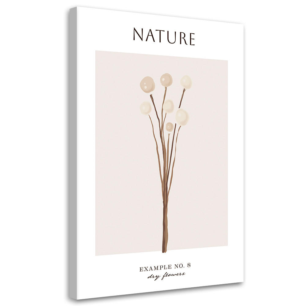 WANDBILD trockene blume natur - Beige, Textil (40/60cm) - Feeby