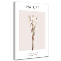 WANDBILD trockene blume natur - Beige, Textil (40/60cm) - Feeby