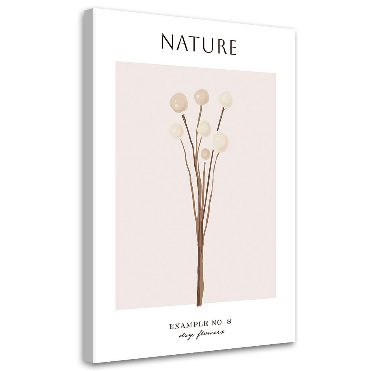 WANDBILD trockene blume natur - Beige, Textil (40/60cm) - Feeby