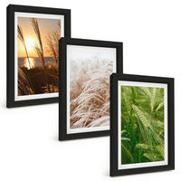 BILDER SET 3er Set - 20x30 cm Schwarzer Rahmen - Gräser farbenfrohe Natur - Schwarz, Kunststoff (20/30cm) - TULUP