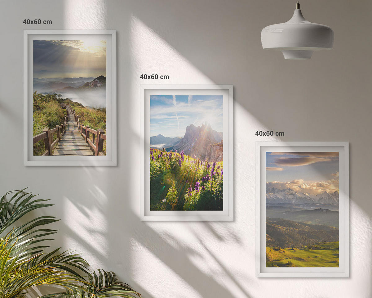 BILDER SET 3er Set - 40x60 cm Weißer Rahmen - Berglandschaft mit Blumen - Weiß, Kunststoff (40/60cm) - TULUP