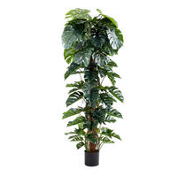 KUNSTPFLANZE Künstlicher Split-Philodendron – Zephira 210 cm - Grün, Kunststoff (210cm) - aplanta