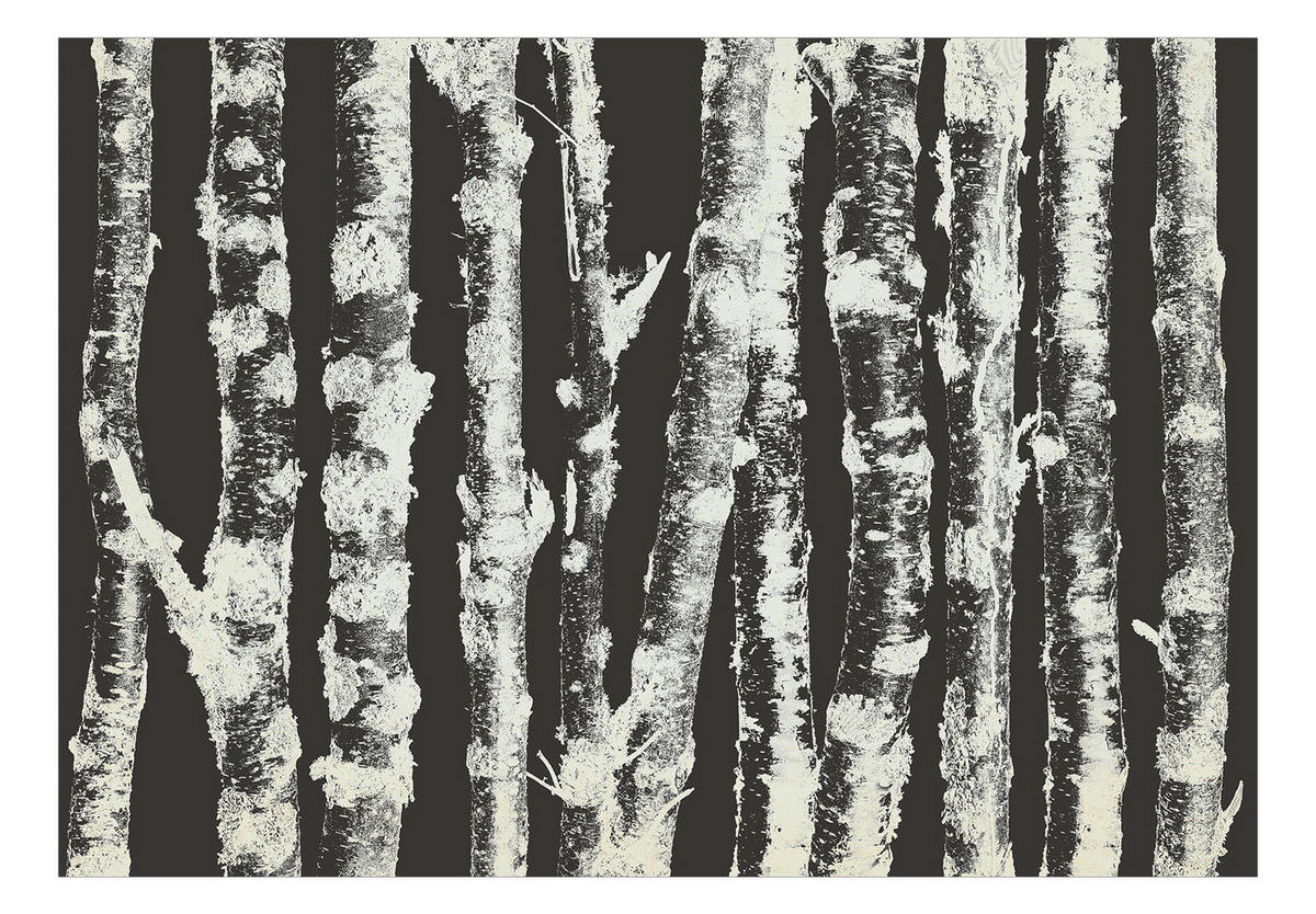 SELBSTKLEBENDE FOTOTAPETE 196/140 cm - Schwarz, Kunststoff/Textil (196/1cm) - KUNSTLOFT