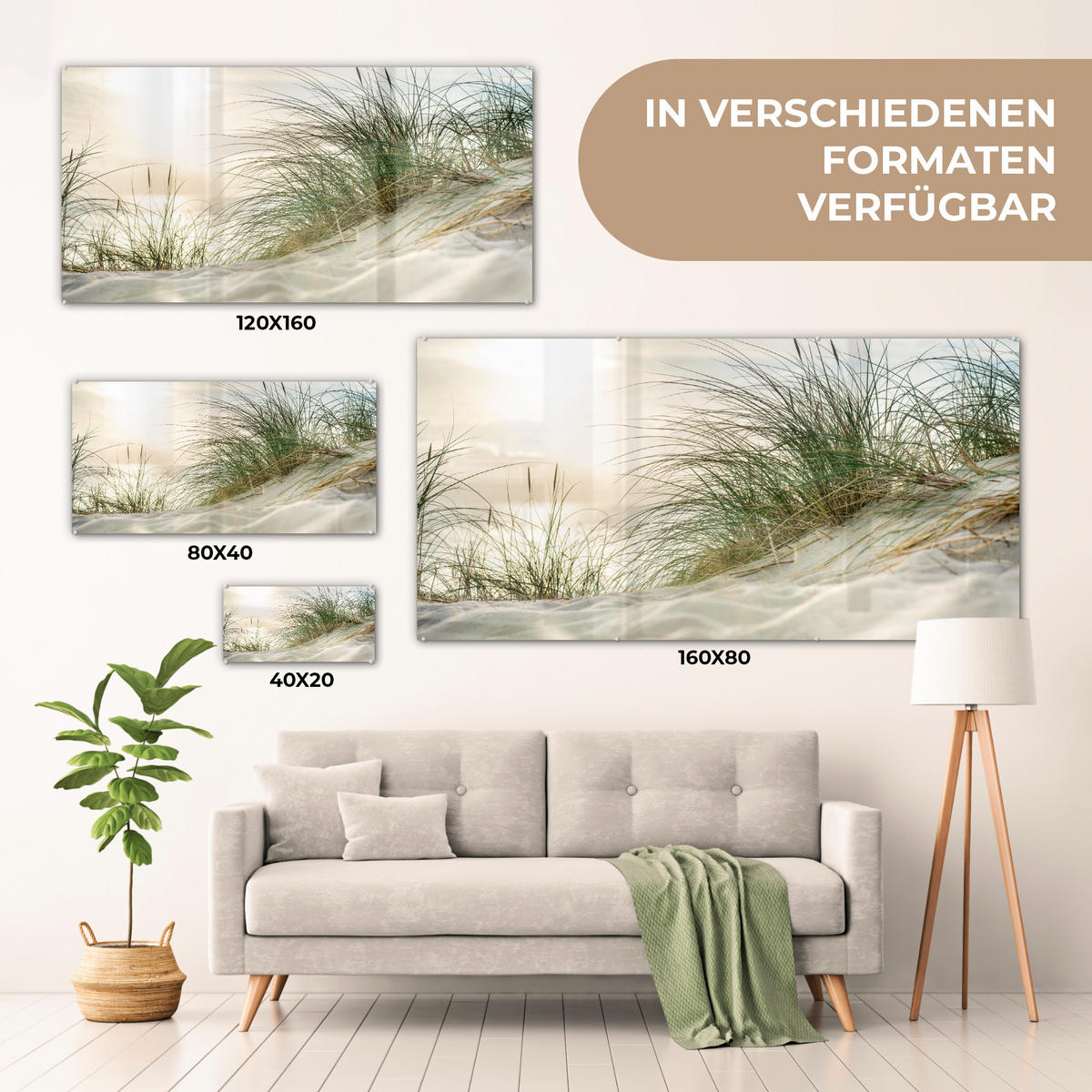 OBRAZ NA AKRYLOVOM SKLE Duny s marramovou trávou pod slnkom nemeckého národného parku Schleswig-Holsteinisches Wattenmeer 120x60 cm - krémová, sklo (120/60cm) - MuchoWow