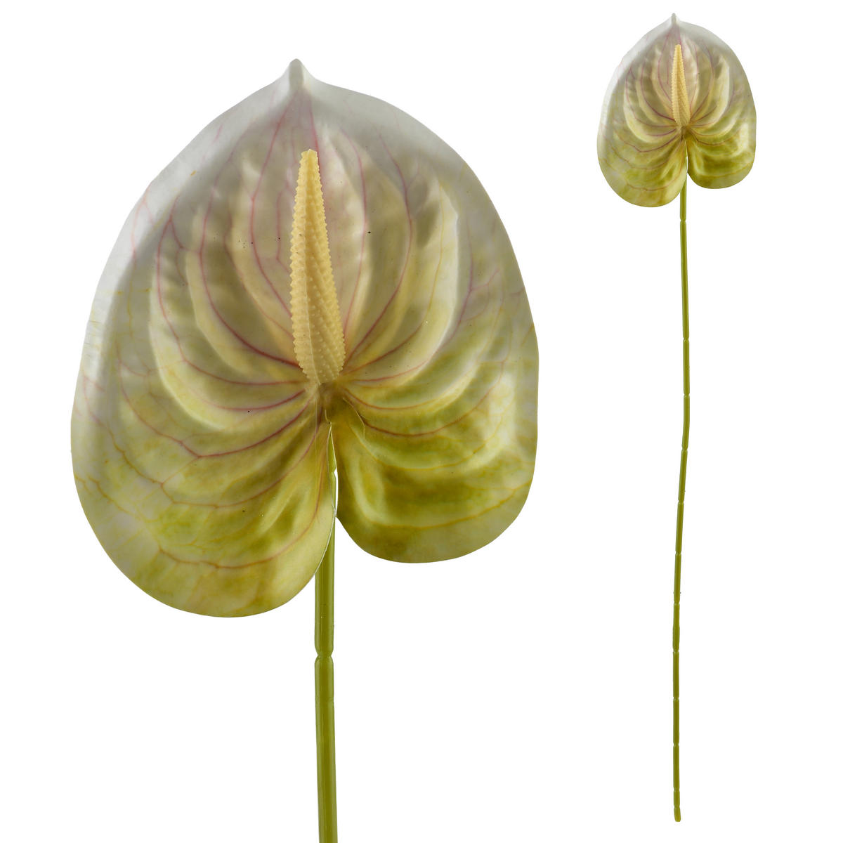 UMĚLÁ KVĚTINA anturium - béžová, plast (60cm) - Mondex