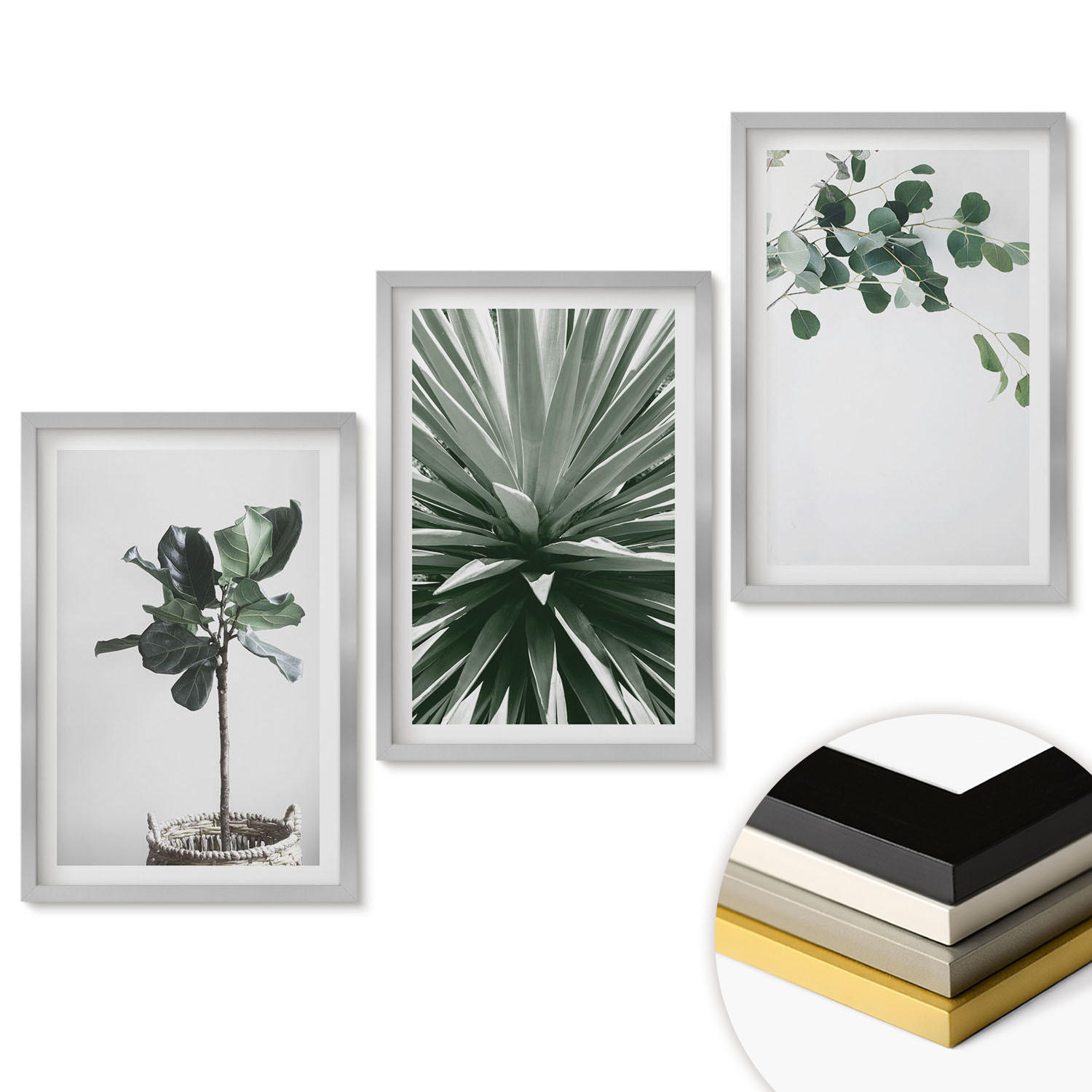 WANDBILDER 3er Set - 40x60 cm Silberner Rahmen - Minimalismus mit grünen Pflanzen - Silberfarben, Kunststoff (40/60cm) - ArtPrintCave