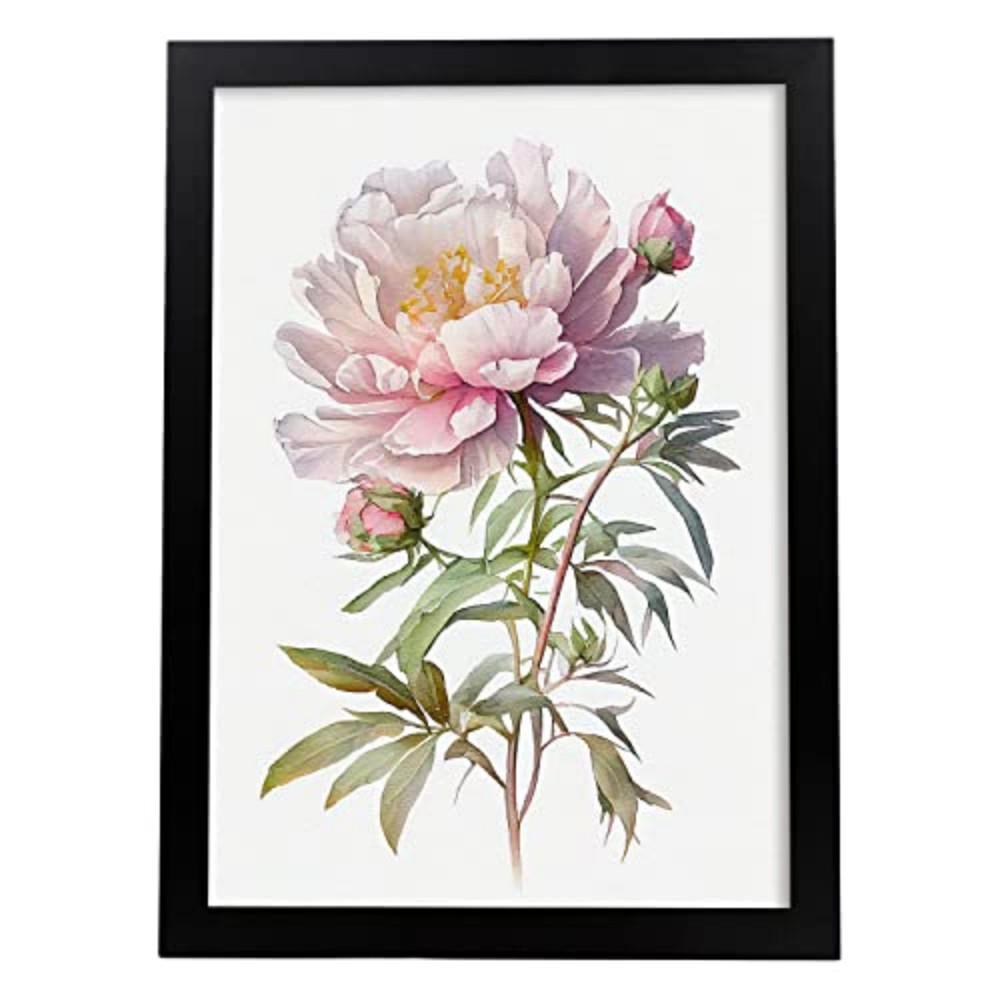 POSTER Pfingstrose 2 Im Nordischen Stil. A4 Rahmenlos - Klar, Papier (29.7/5/21cm) - Nacnic