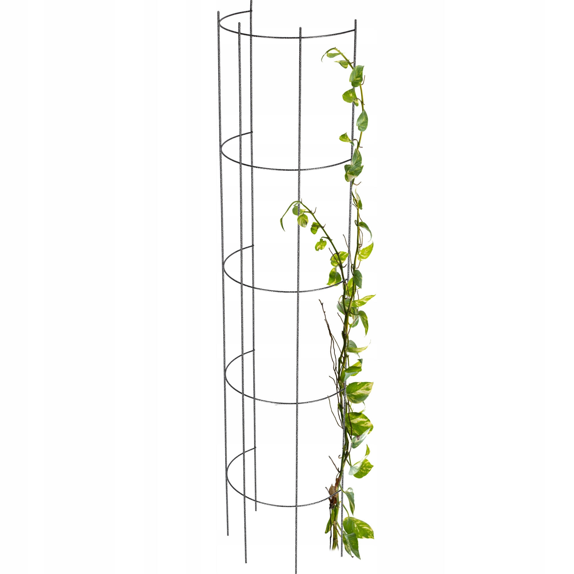 GARTENPERGOLA für Blumen, 28 x 120 cm, schwarz - Schwarz, Metall (28/120cm) - KADAX