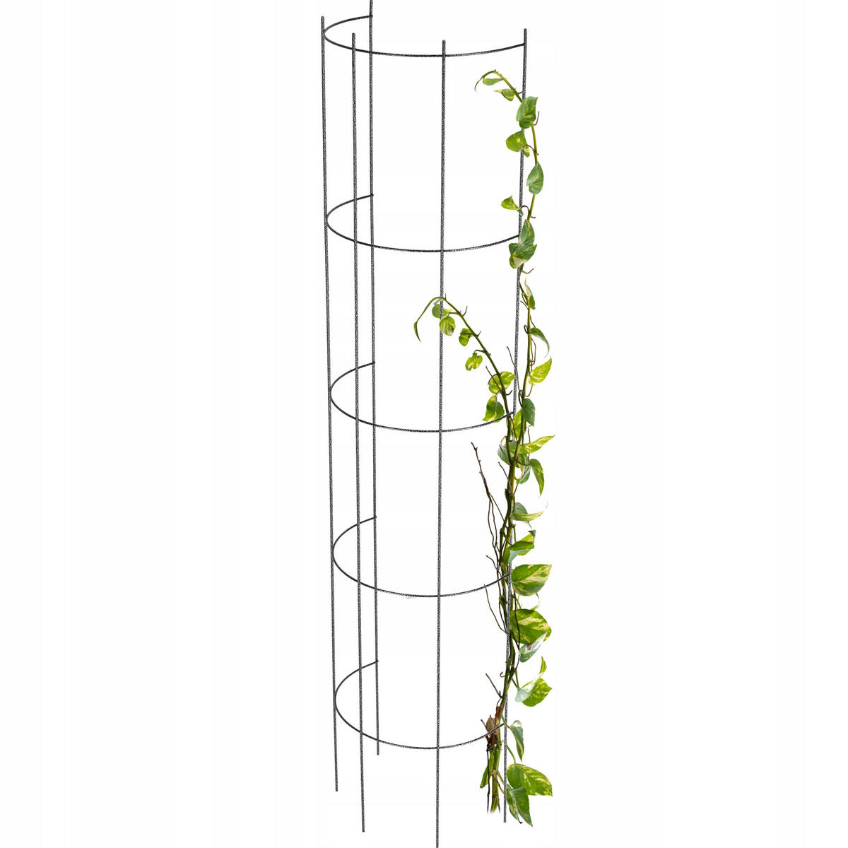 GARTENPERGOLA für Blumen, 28 x 120 cm, schwarz - Schwarz, Metall (28/120cm) - KADAX