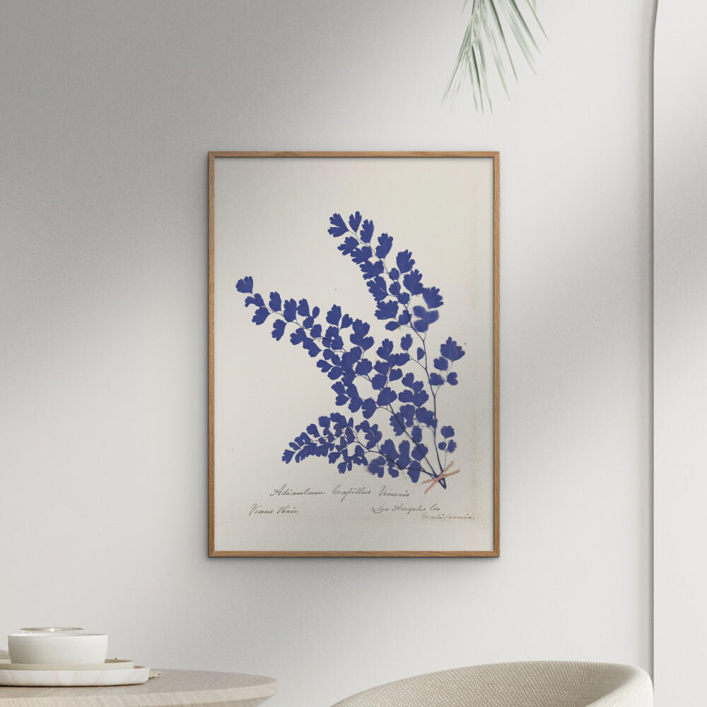 POSTER mit Rahmen Wild Apple - Botanical Fern III Blue - Blau/Eichefarben, Holz/Papier (30/40cm) - Poster&Frame