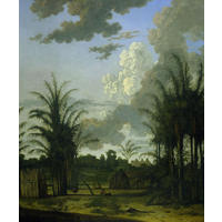 FOTOTAPETE tropische Landschaft 250 x 300 cm - Grün, Papier (250/300cm) - Origin Wallcoverings