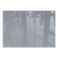 GLASPLATTE für Kamin 100x70 cm - Grau, Glas (100/70/0.4cm) - TULUP