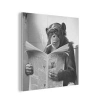AKUSTIKPANEEL Affe - WC - Zeitung - Schwarz-Weiß - Humor 90x90 cm - Hellgrau, Textil (90/0.9/90cm) - MuchoWow