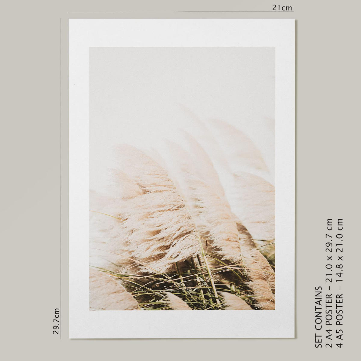 POSTER Set Mit 6 Matisse A3 & A4 Rahmenlos - Klar, Papier (29/3cm) - Nacnic