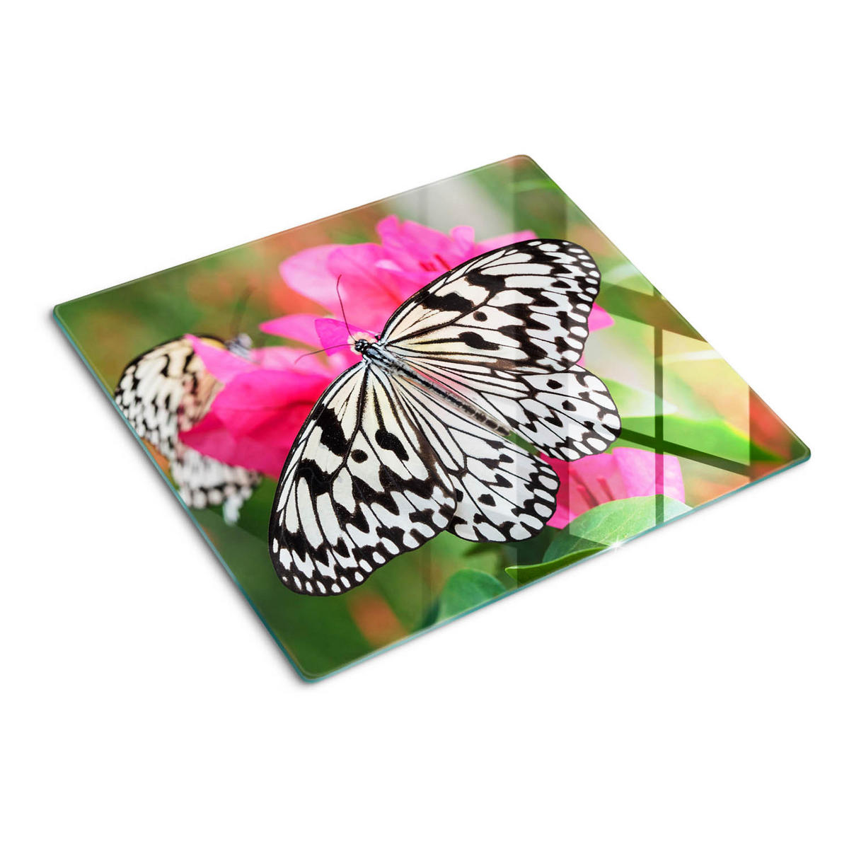 GLASPLATTE 60x52 cm Schmetterlingsblume - Pink, Glas (60/0.4/52cm) - TULUP