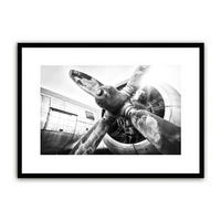POSTER mit Rahmen 70x50 cm Flugzeug Schwarz-Weiß - Weiß, Papier (71/51cm) - artissimo