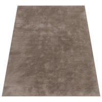 HOCHFLORTEPPICH 120/160 cm Soft 380 - Taupe, Textil (120/160cm) - Paco Home