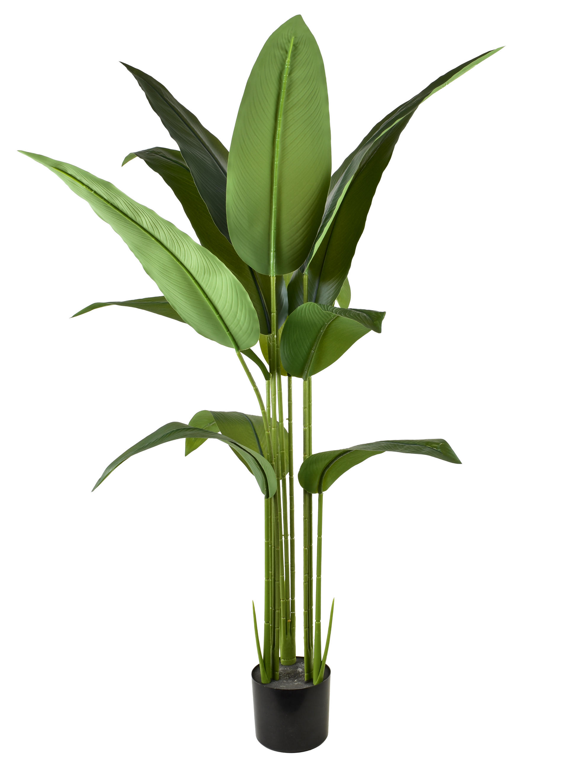 KUNSTBLUME Viridis Grün 20/20/140 cm Kunststoff - Grün, Kunststoff (140cm) - Mondex