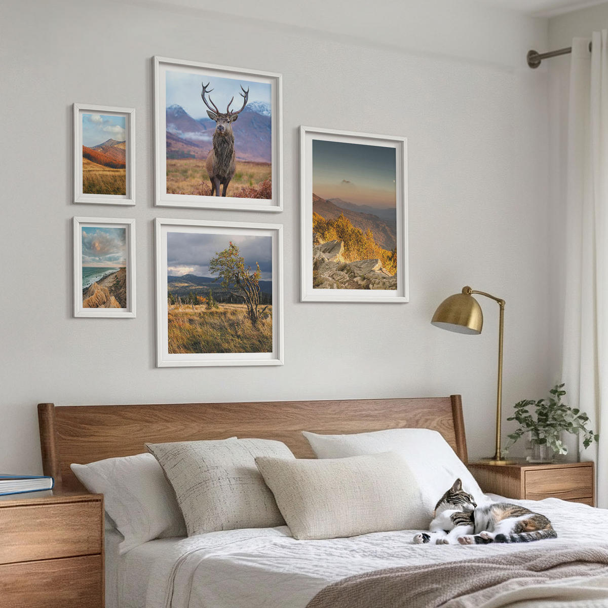 WANDBILDER 5er-Set - 50x50 cm & 20x30 cm & 40x60 cm Weißer Rahmen - Berglandschaften, Hirschgras - Weiß, Kunststoff (40/60cm) - ArtPrintCave