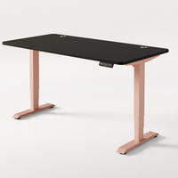 SCHREIBTISCH Elektrisch Höhenverstellbarer HomePro 160x80cm Rosa/Schwarz mit Memory-Funktion, Anti-Kollisions Technologie - Pink/Schwarz, Holzwerkstoff (80/160/62cm) - Desktronic