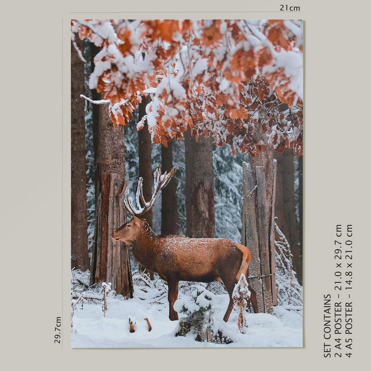 POSTER Set Mit 6 Gefrorener See A3 & A4 Rahmenlos - Klar, Papier (29/3cm) - Nacnic