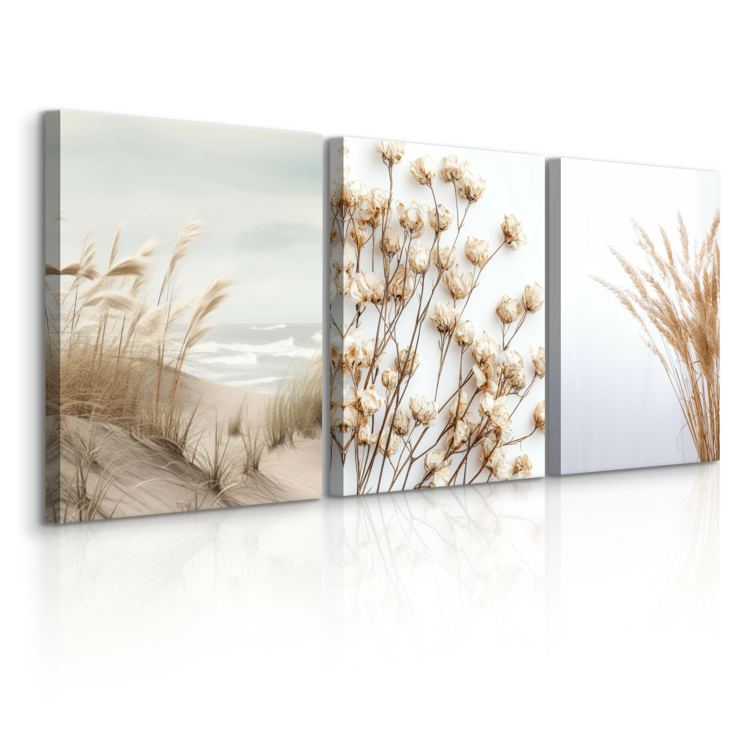 LEINWANDBILDER 3-es Set Pflanzen Strand - Blau/Beige, Textil (90/40cm) - Muralo