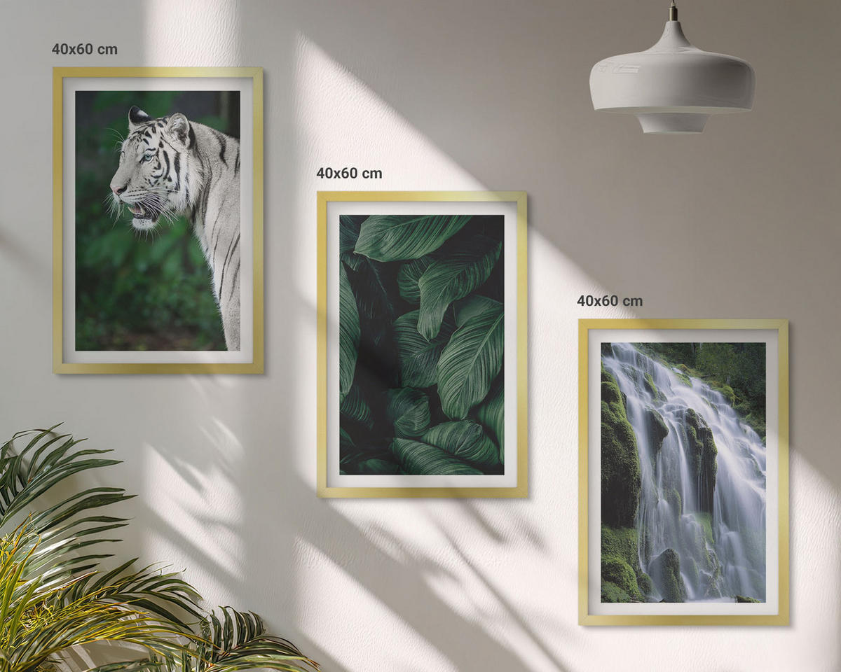 BILDER SET 3er Set - 40x60 cm Goldrahmen - Wasserfall aus weißen Tigerblättern - Goldfarben, Kunststoff (40/60cm) - TULUP