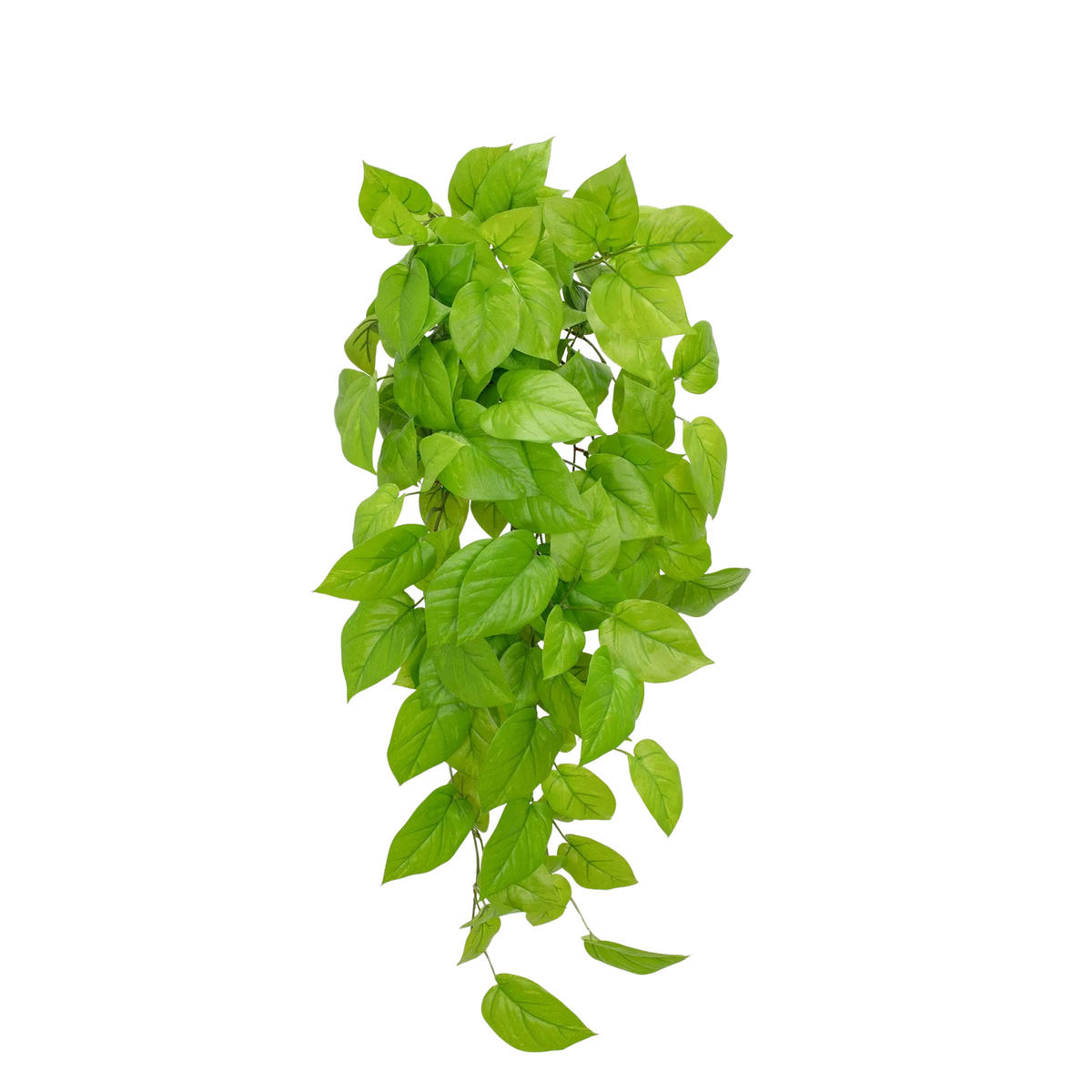 KUNSTPFLANZE Künstlicher Pothos - Sky 83 cm - Grün, Kunststoff (83cm) - aplanta