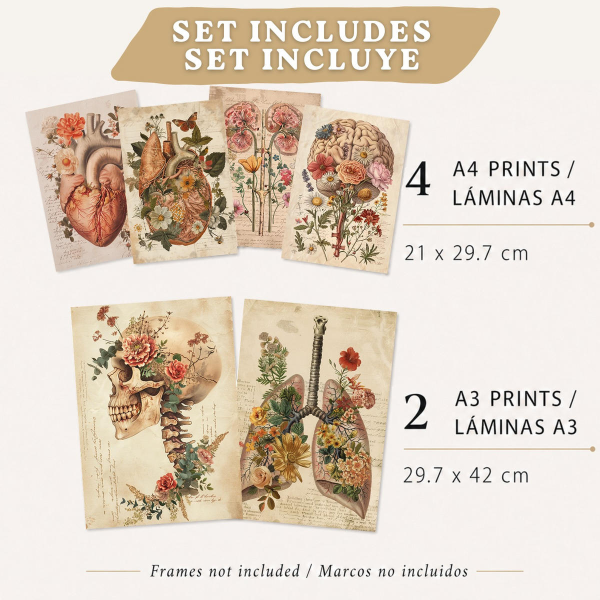 POSTER Set aus 6 Botanische Anatomie Drucke mit Herz Lungen Wirbelsäule Becken und Rippen Beige Terrakotta Erdtöne Florales Design Rahmenlos A3 & A4 - Klar, Papier (29.7/42/3cm) - Nacnic