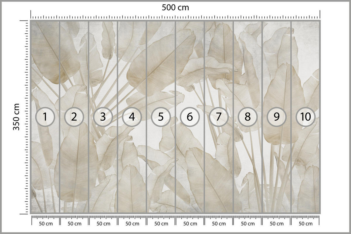 FOTOTAPETE Beige Bananenblätter Tropische Pflanzen 500x350 - Beige/Braun, Papier (500/350cm) - Muralo