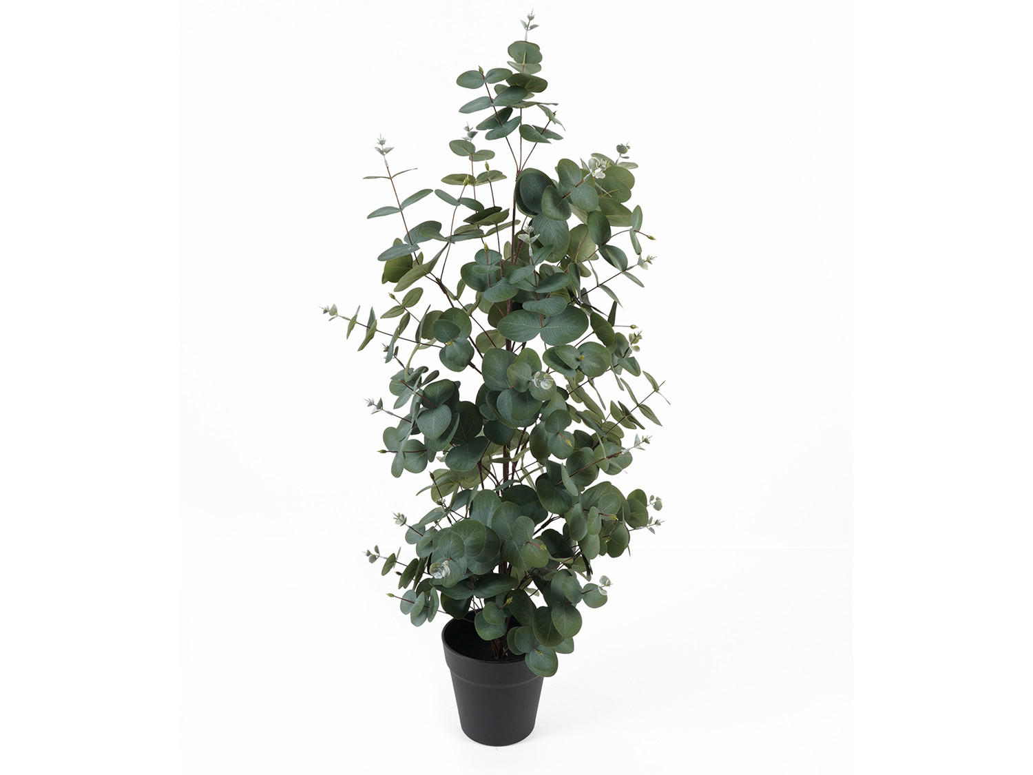 DEKOPFLANZE Eucalyptus Leaf 30/30/78 cm - Grün, Kunststoff (78cm) - Present Time
