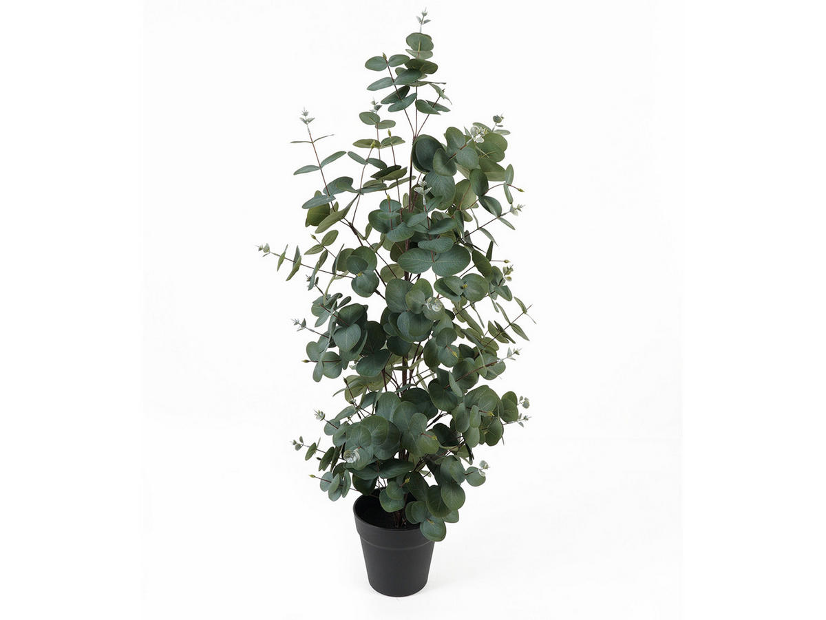 DEKOPFLANZE Eucalyptus Leaf 30/30/78 cm - Grün, Kunststoff (78cm) - Present Time