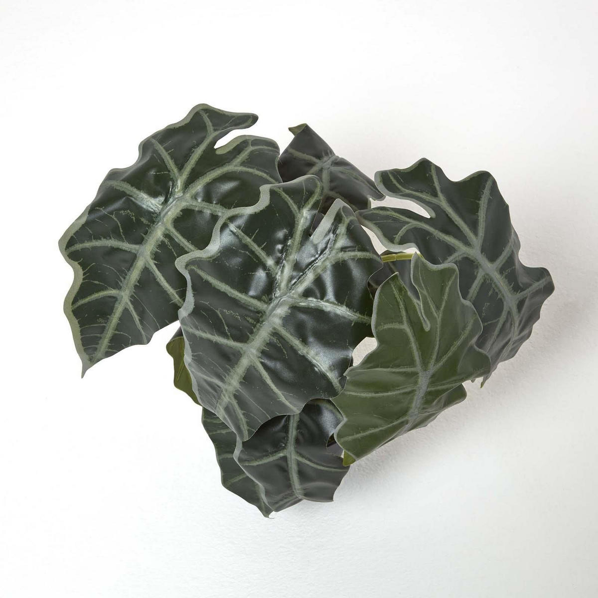 KUNSTPFLANZE Alocasia, 50 cm - Grün, Kunststoff (50cm) - Homescapes