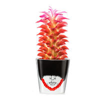 BLUMENTOPF Magic Bobby Big, Porzellan, H 15 cm - Multicolor, Keramik (15cm)