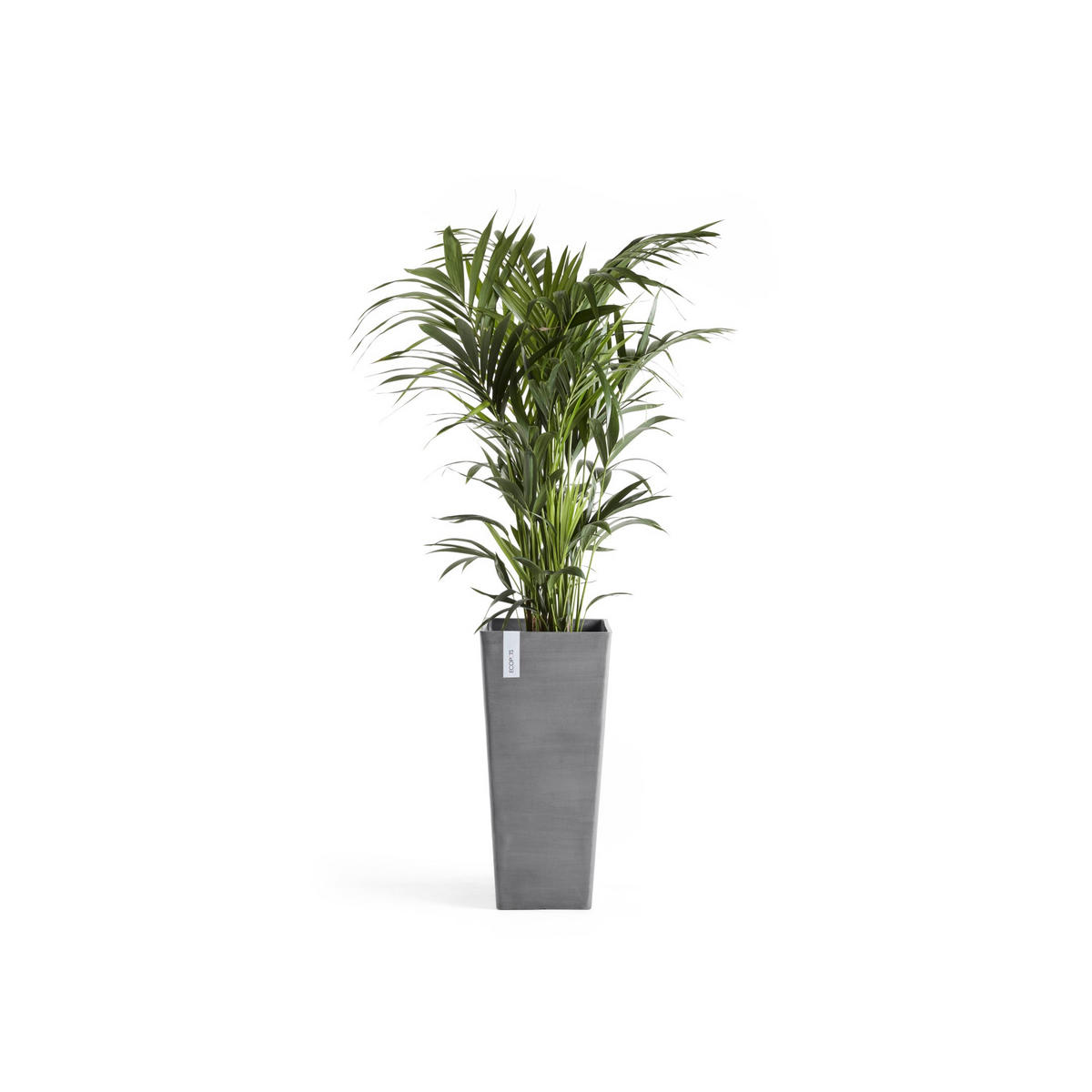 BLUMENTOPF Rotterdam High 32,7/32,7/70,5 cm Grau - Grau, Kunststoff (32.7/70.5cm) - Ecopots
